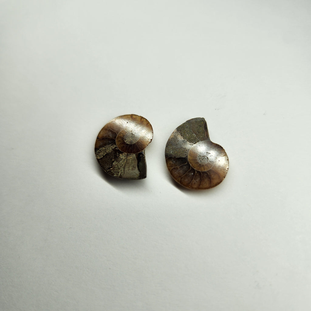 Opalized Ammonite pair 9.32ct